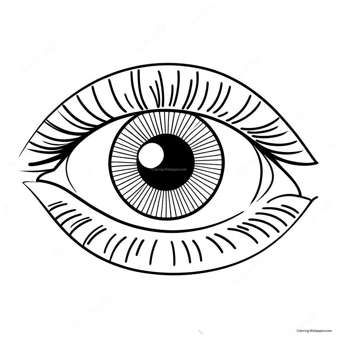 Eye coloring page 3510-2791