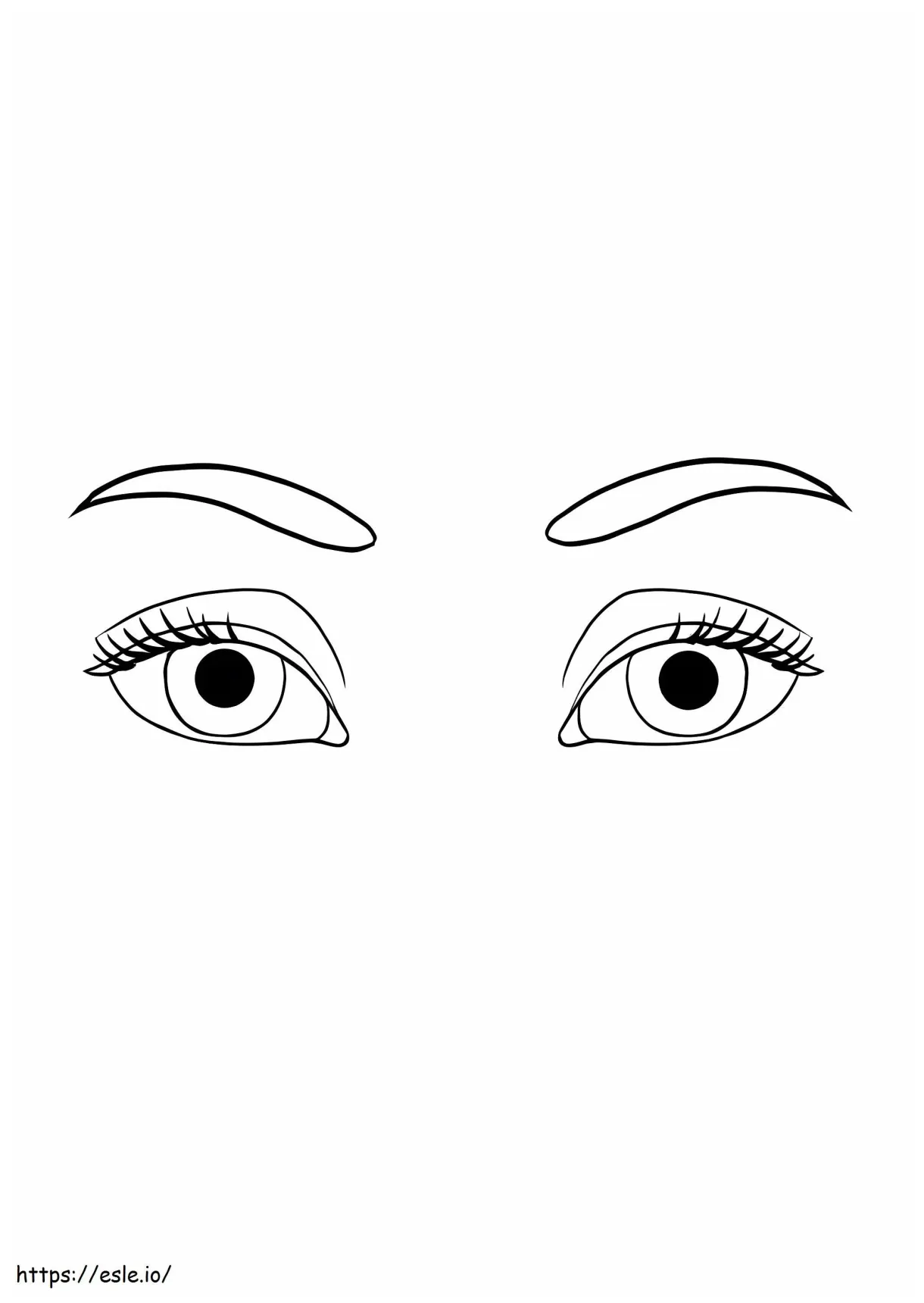 Human eye coloring page buy eye anatomy coloring book eye anatomy