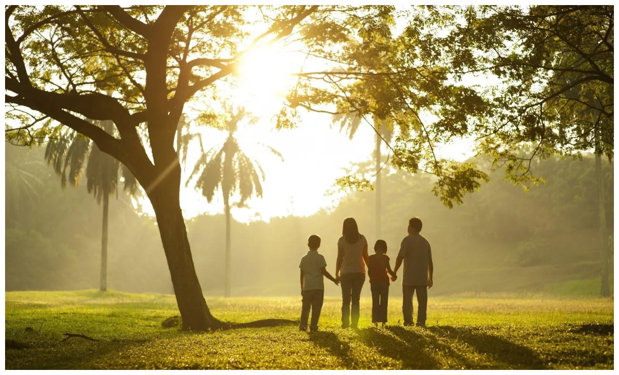 Family s top free family s access