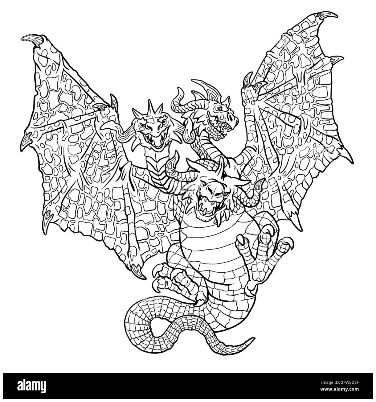 Adult coloring page fantasy beast dragon doodle printable