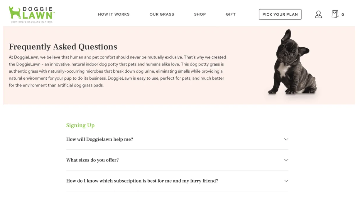 What is a faq page? 8 great examples & how to create one