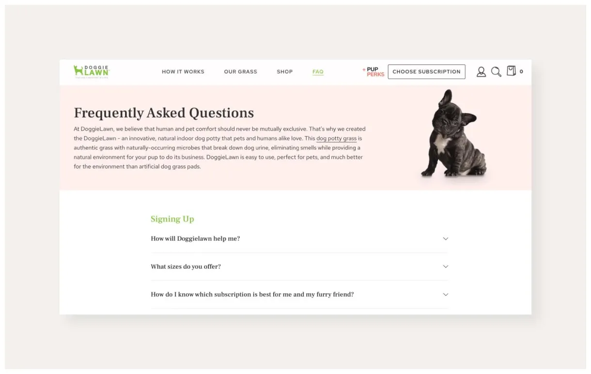 19 stellar s and how to create one + template