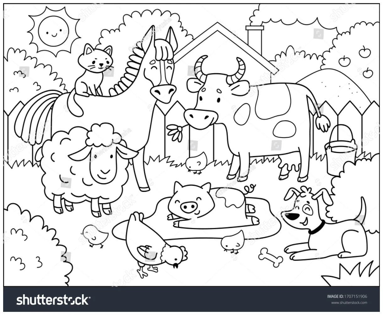 473,436 farm animal coloring s, s & vectors shutterstock