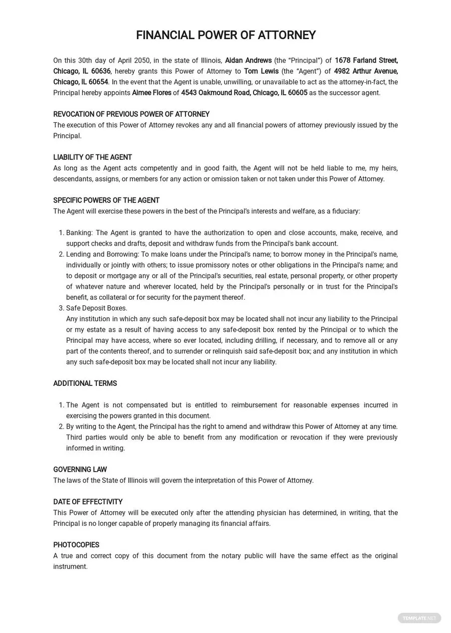 Basic Financial Power of Attorney Template in Word, Google Docs