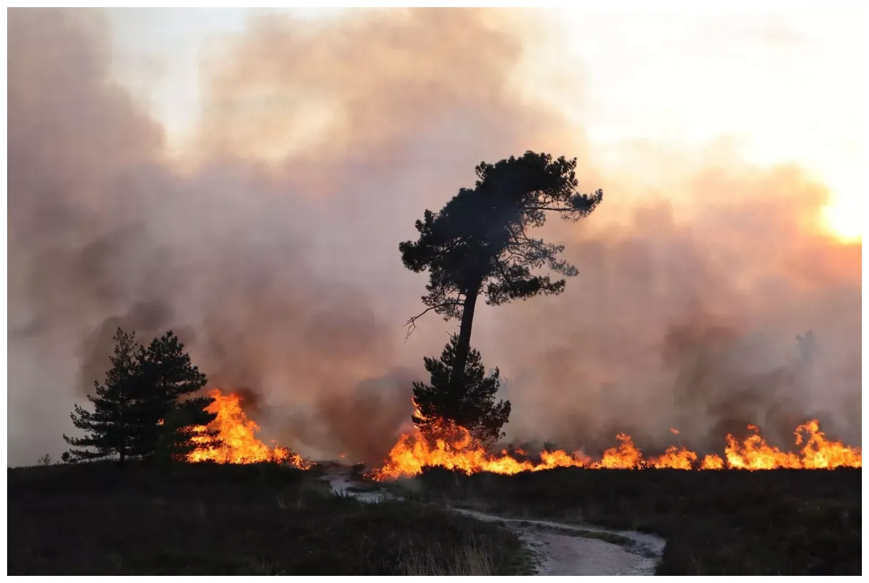 20 fire teams rush to multiple heath fires in a day of "significant