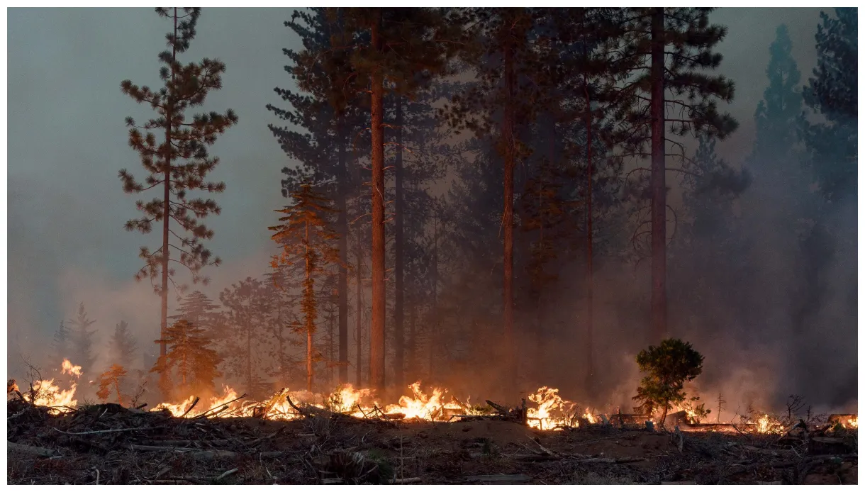 Mosquito fire becomes california’s largest of year the new york times