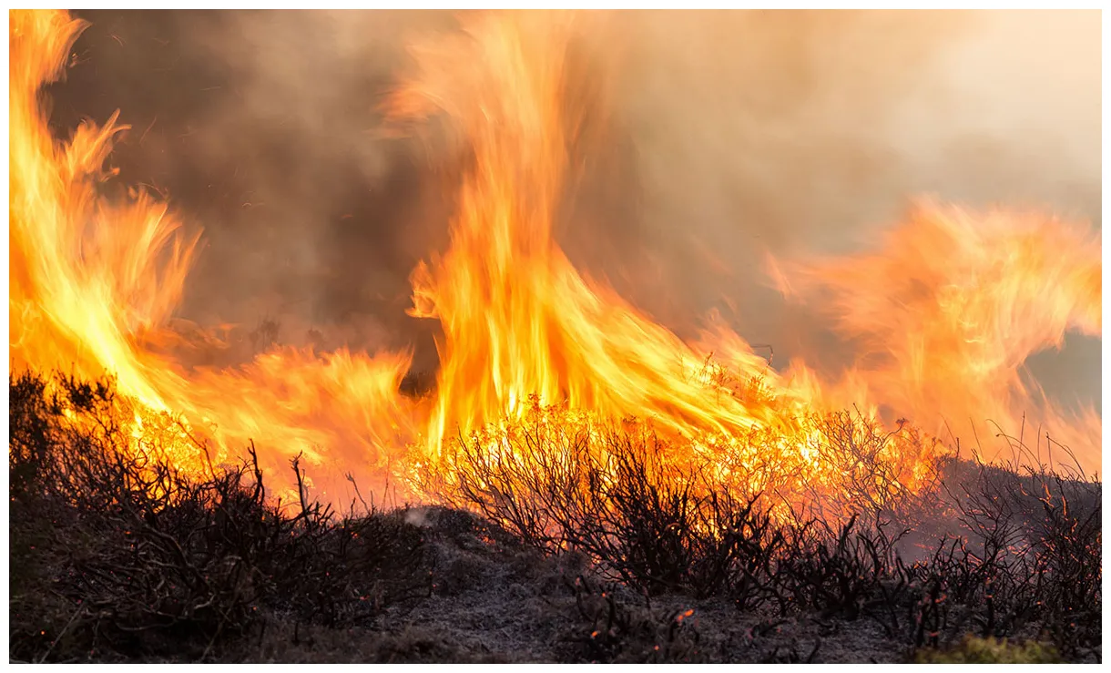 A postcard from the outer hebrides fire! caught by the river