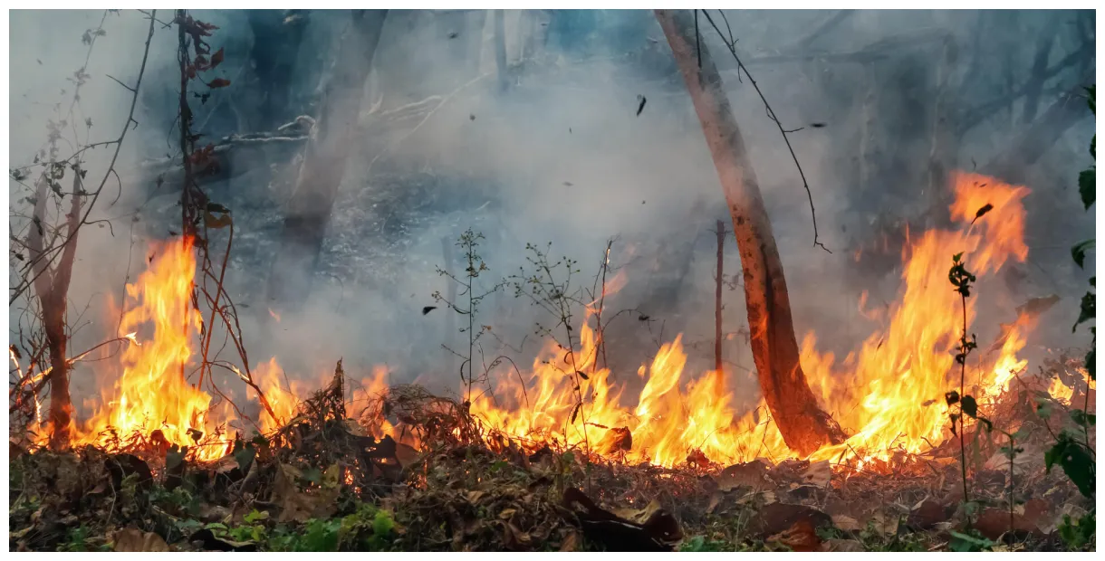 Uk and global fire weather met office