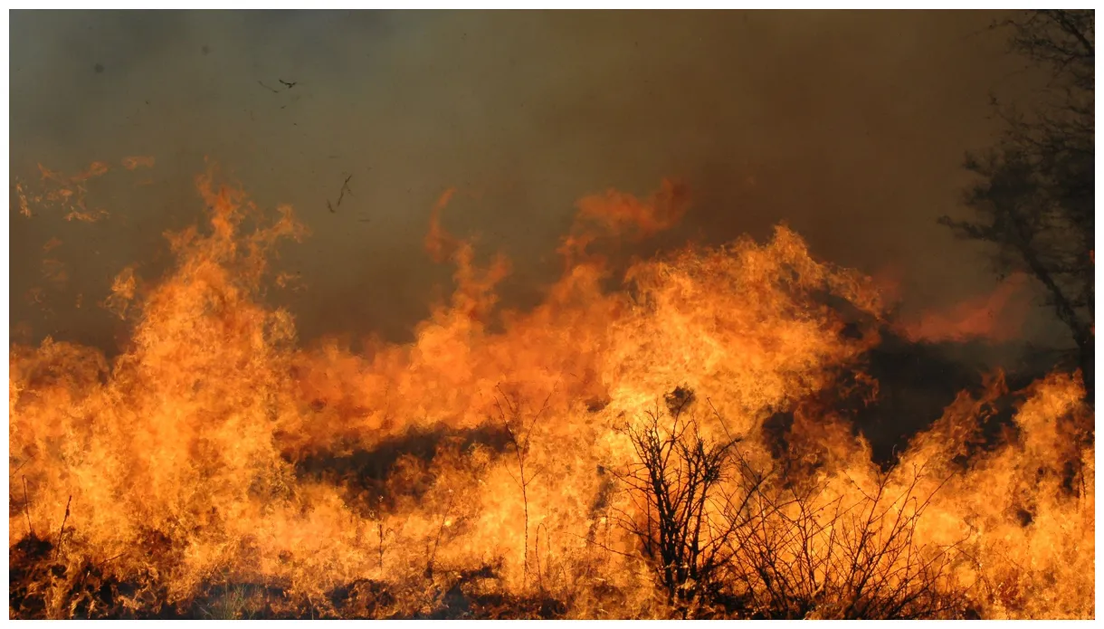 Fire the great manipulator