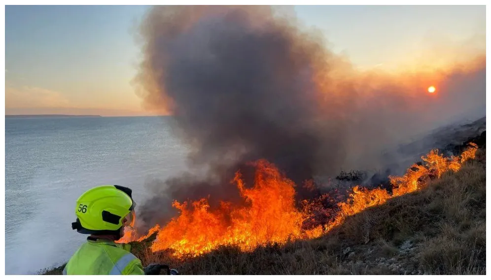 Almost 25,000 wildfires fought in england during summer bbc news