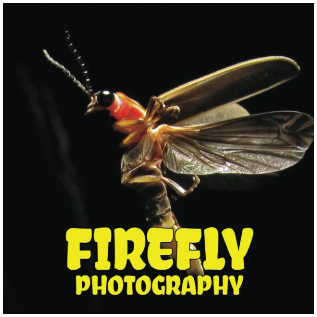 Buy Photography Of Firefly: 2023-2024 Consists Of Compelling