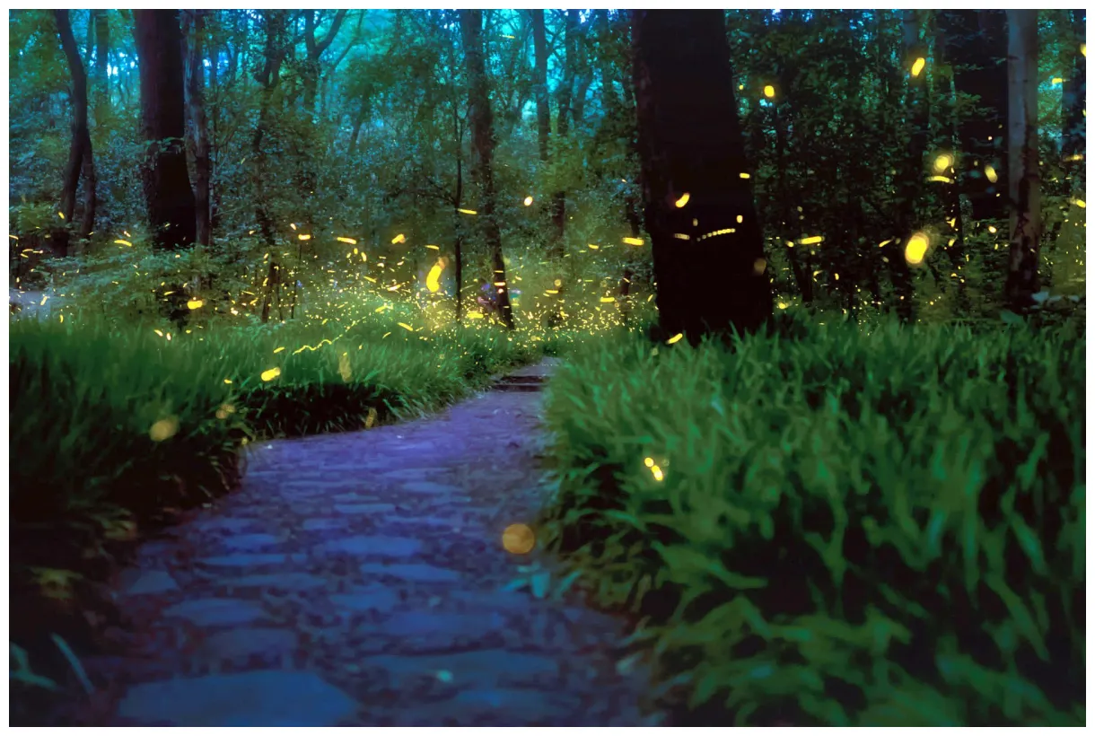 [100+] Firefly Hd Wallpapers | Wallpapers.com