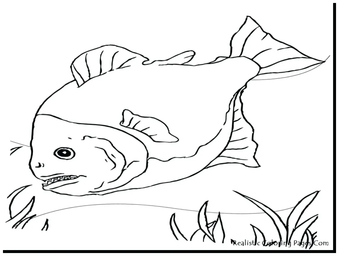 Fishing rod coloring page at getcolorings free printable