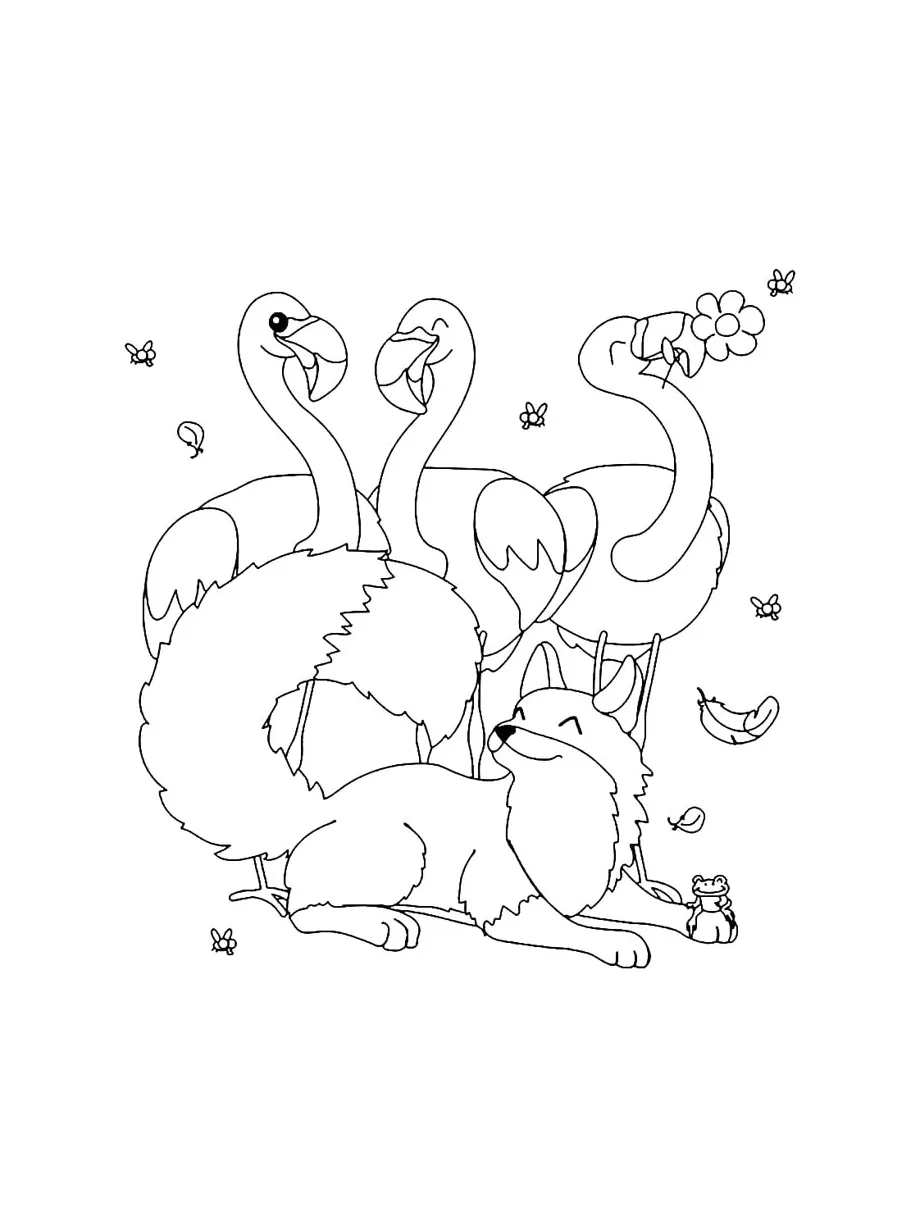 Flamingo coloring page