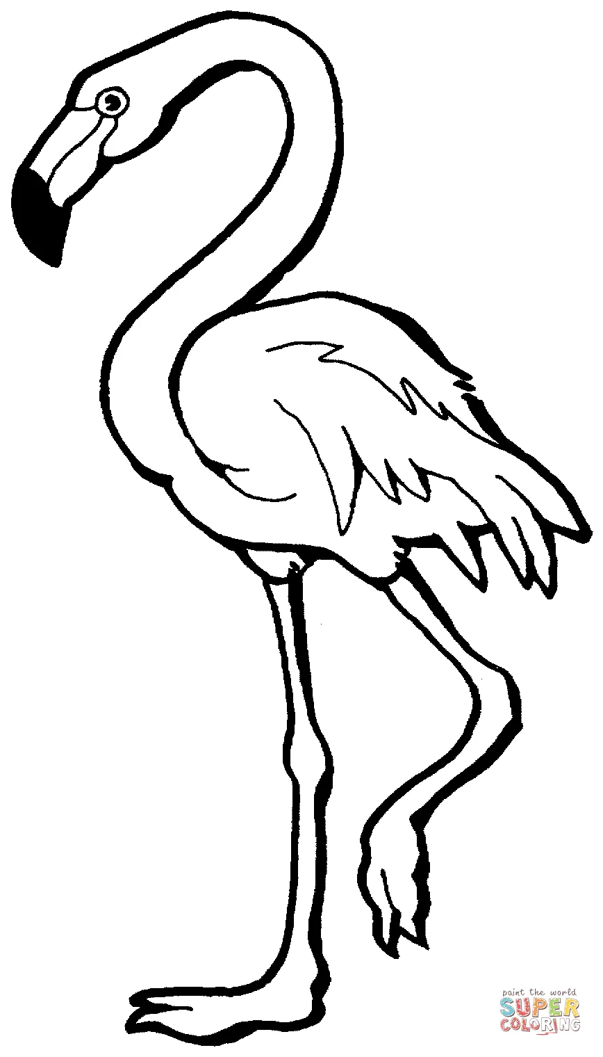 Pink Flamingo coloring page | Free Printable Coloring Pages
