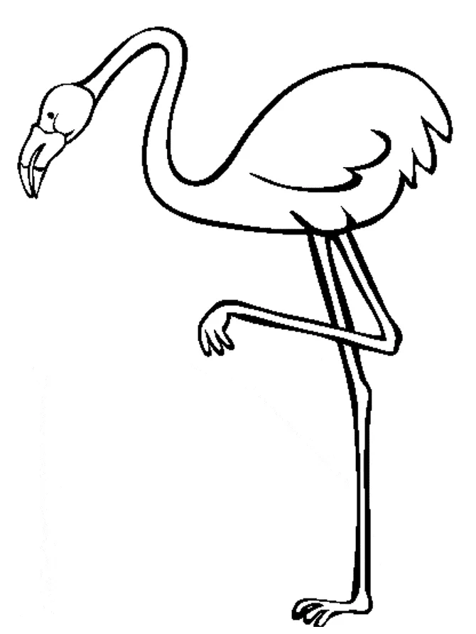 Animals town animals color sheet flamingo