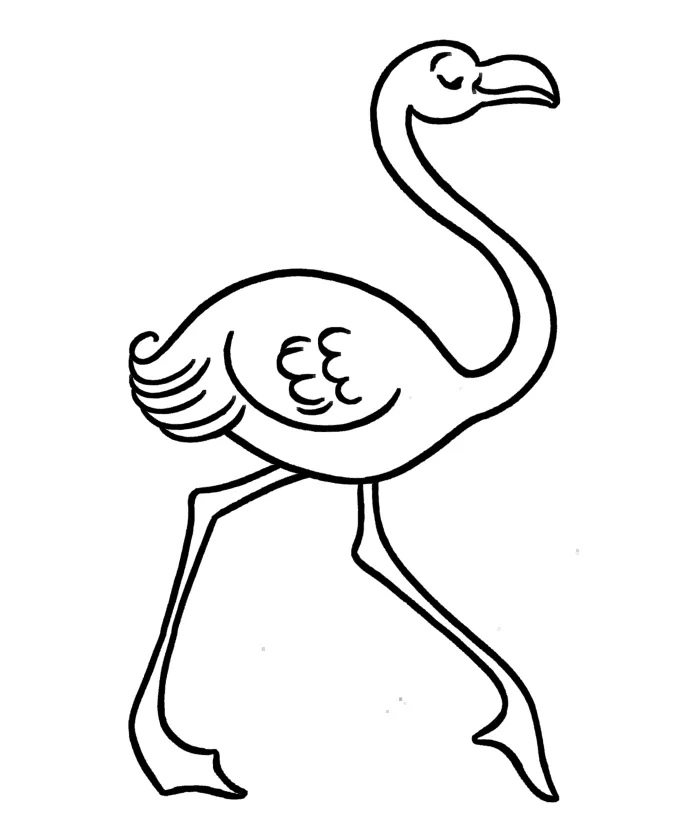 Free , download free png