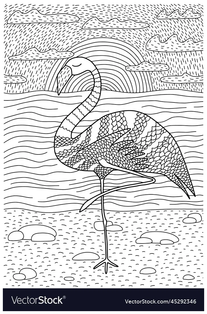 Flamingo coloring page Royalty Free Vector Image