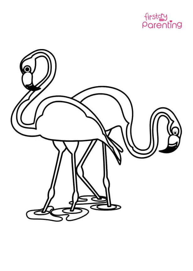 Flamingo Standing One Leg And Searching Coloring Page for Kids
