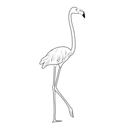 Standing flamingo coloring pages for kids download standing flamingo