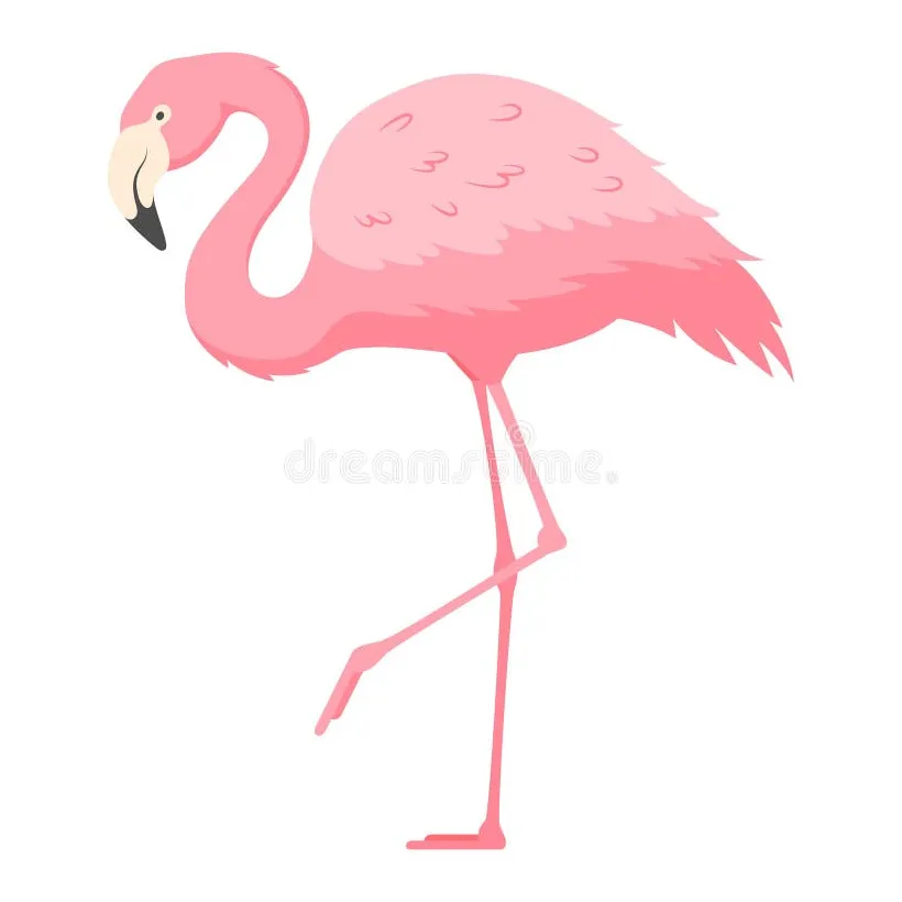 Flamingo standing on one leg flat vector illustration stock vector