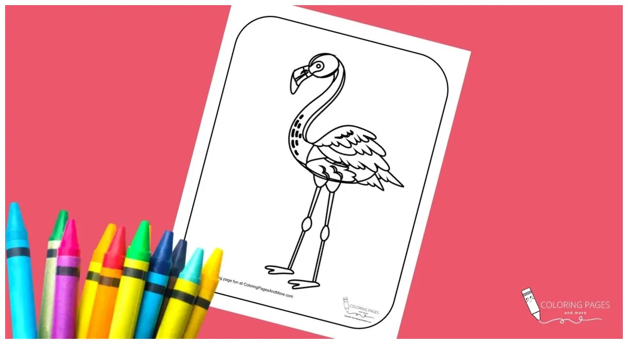Standing flamingo coloring page coloring pages and more