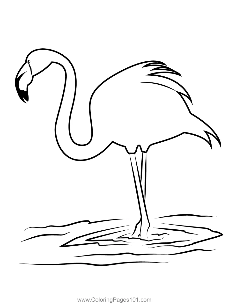 Standing flamingo coloring page for kids free flamingos printable