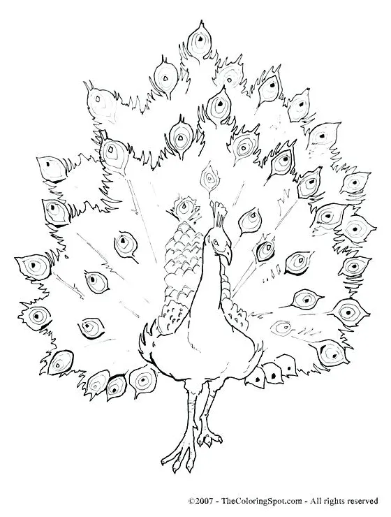 At getcolorings free printable colorings