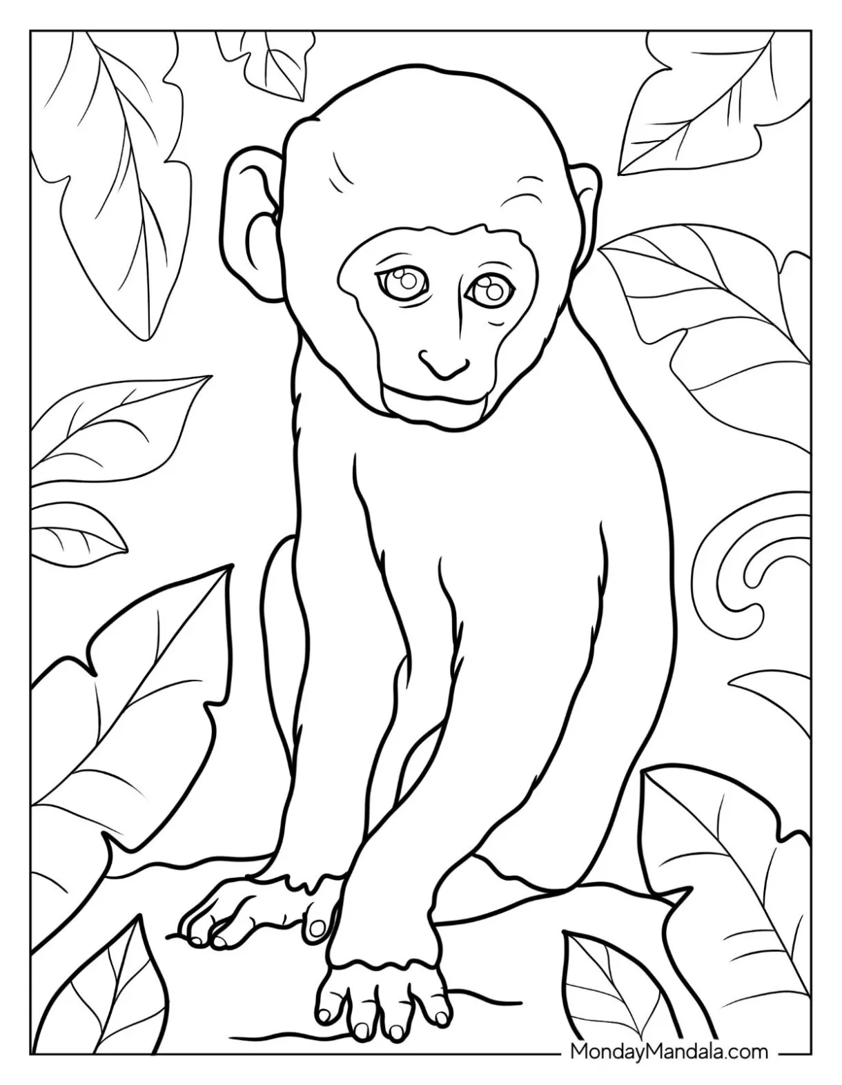 26 monkey coloring pages free pdf printables