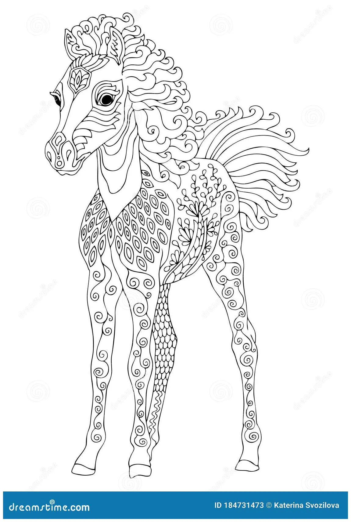 Cute foal, adult coloring page cartoon vector cartoondealer