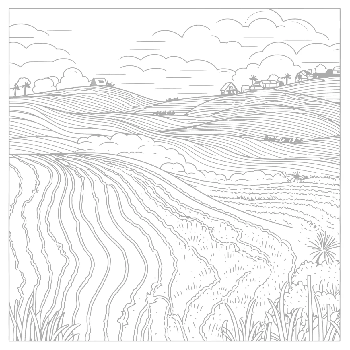 Rice field coloring page coloring pages