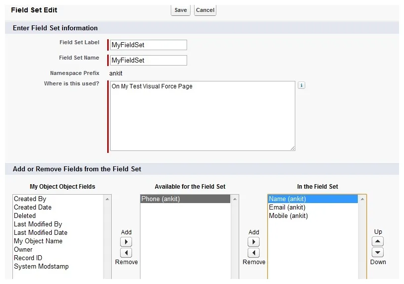 Forceguru using field set on visual force page