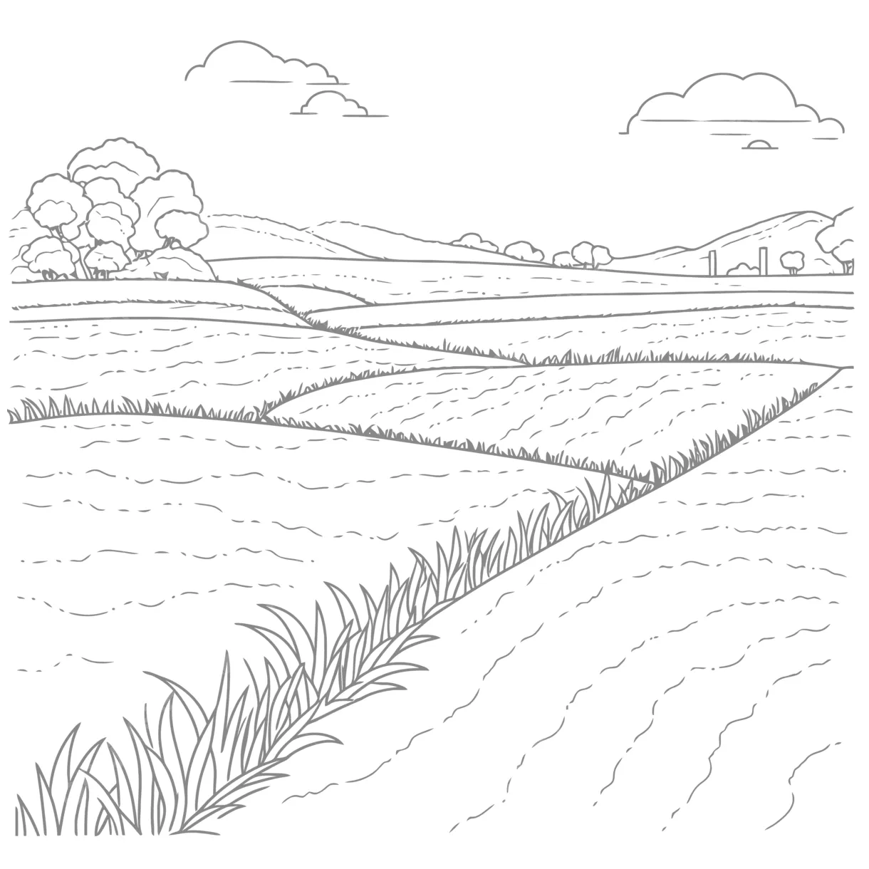 Field coloring pages [2025]