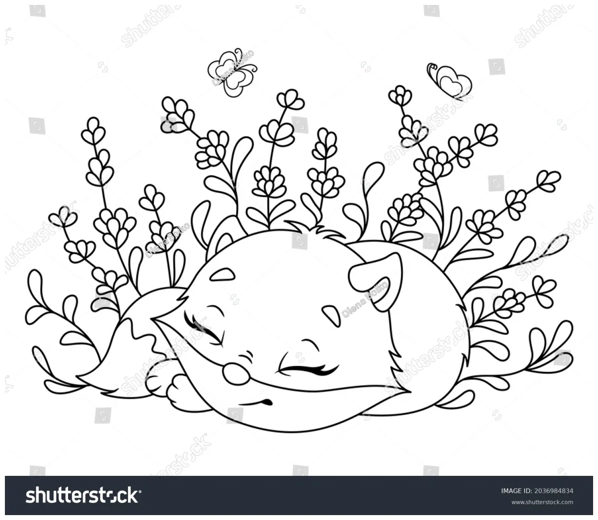 Little fox sleeping coloring page outline stock vector