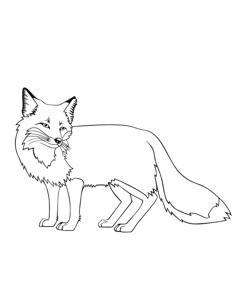 Free , download free png s