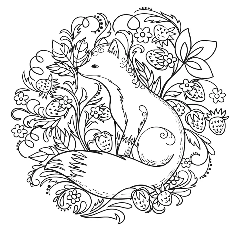 Fox coloring page