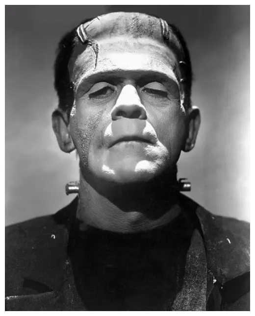 World of faces mary shelley creator of frankenstein world of faces