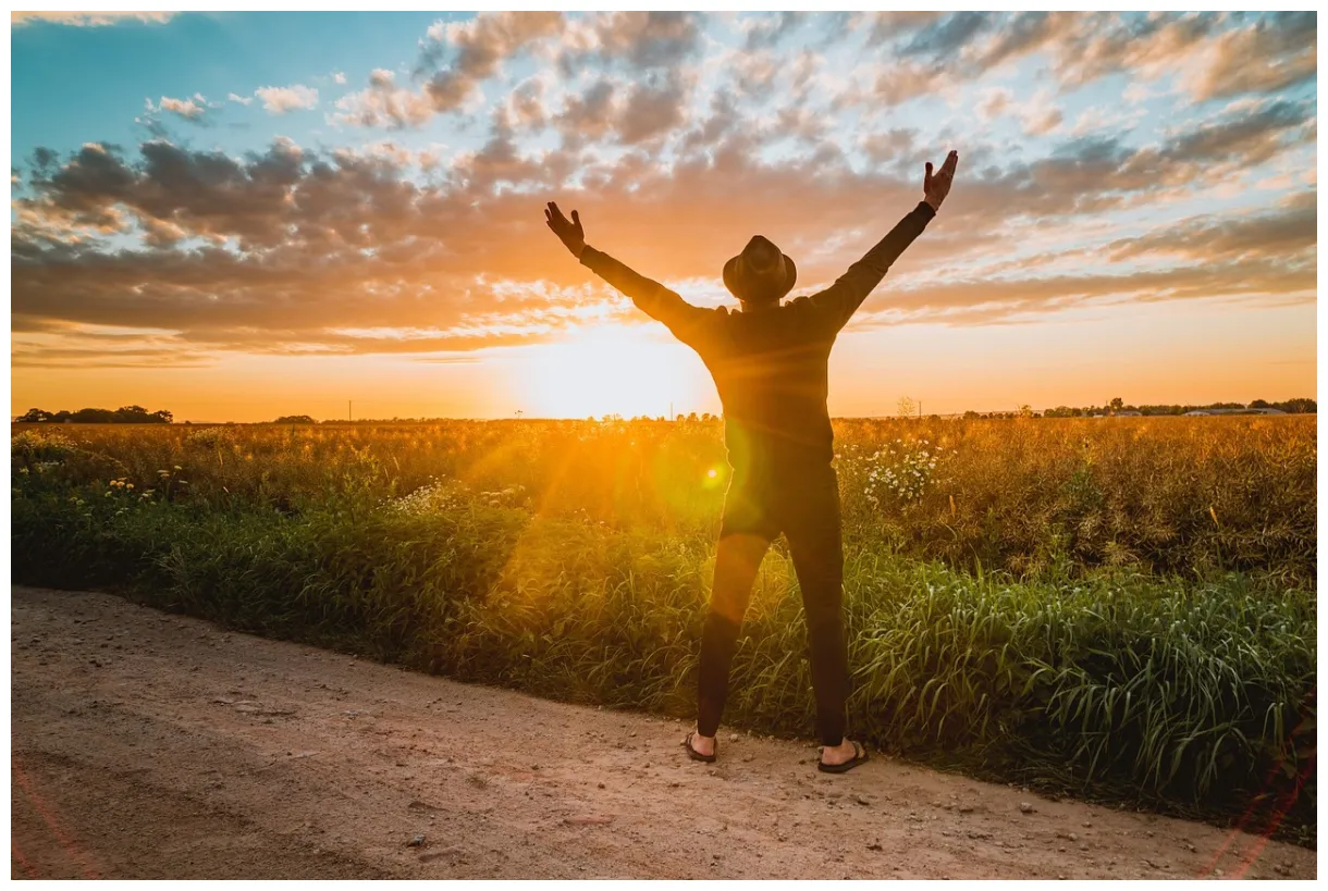 Freedom feel free financially free on pixabay