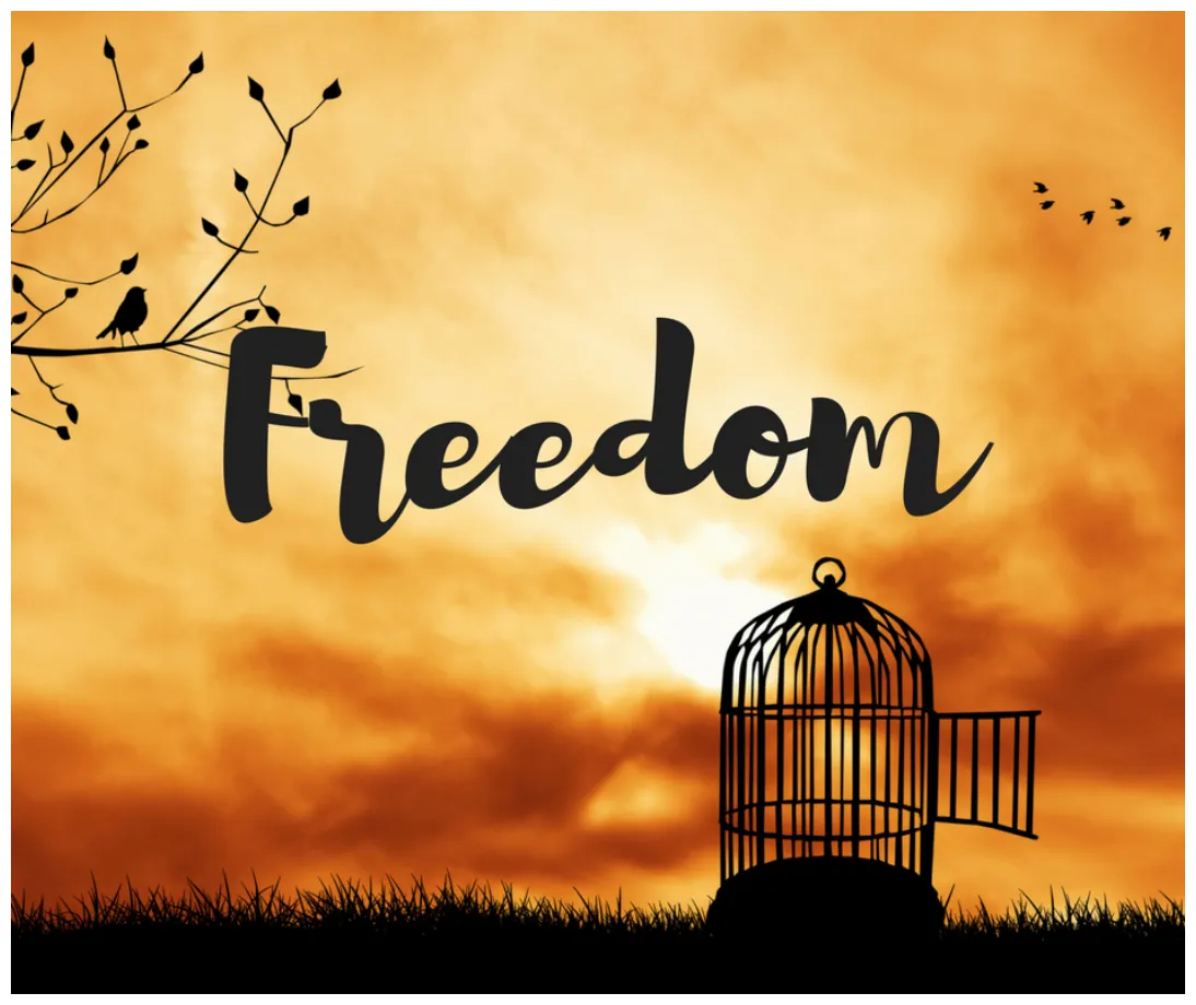 [100+] freedom pictures s