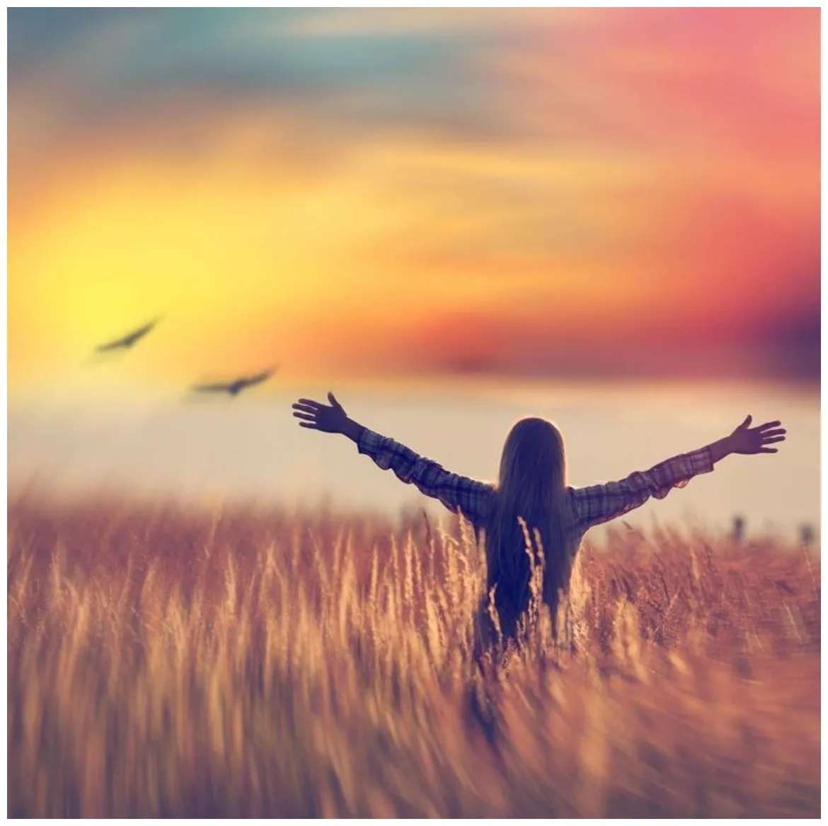 Freedom s top free freedom s access