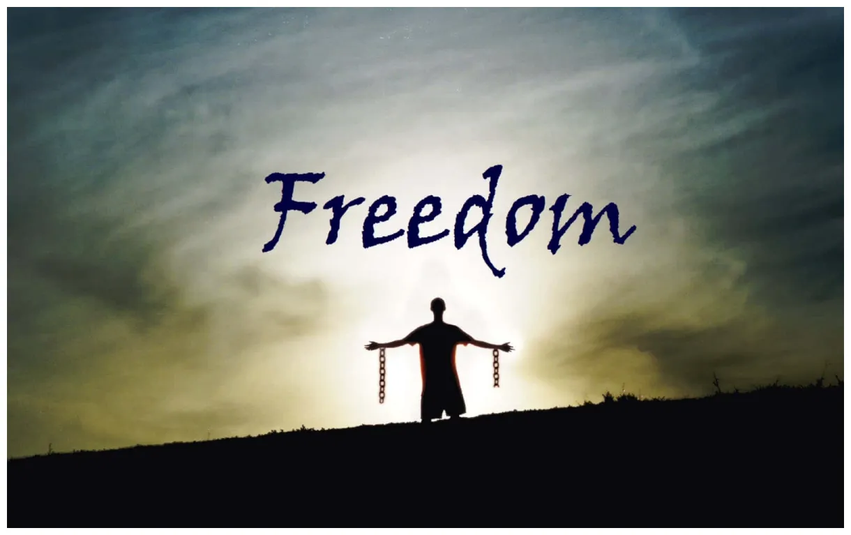 Download freedom s s