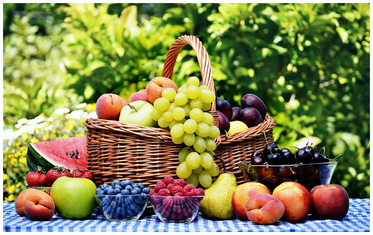 Free fresh fruits apple, basket, food jooinn printable coloring page