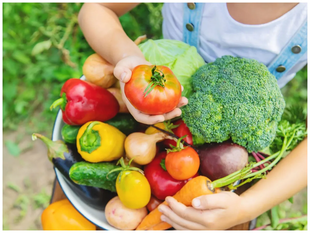 Freshbrigade vegetables from farmers