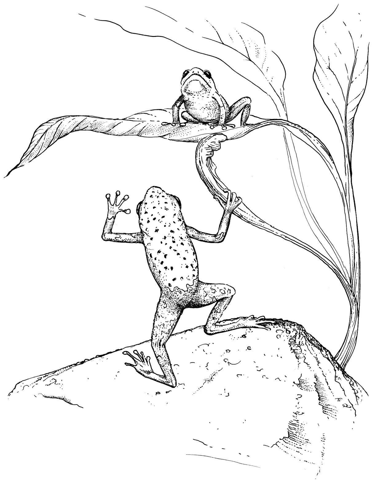 Free s printable coloring page