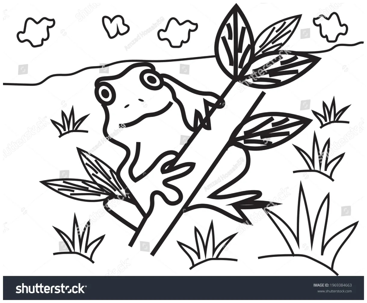 Frog vector coloring page design stock vector 1969384663 printable coloring page