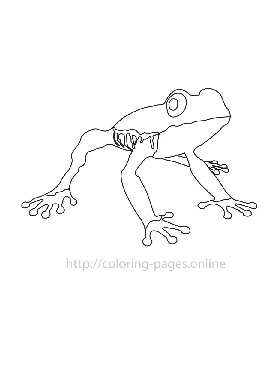 Frog coloring page printable coloring page