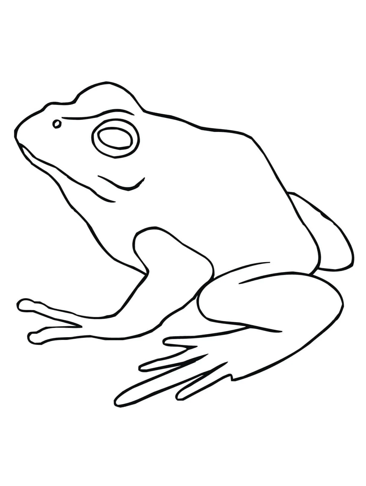 Frogs coloring page download, print or color online for free