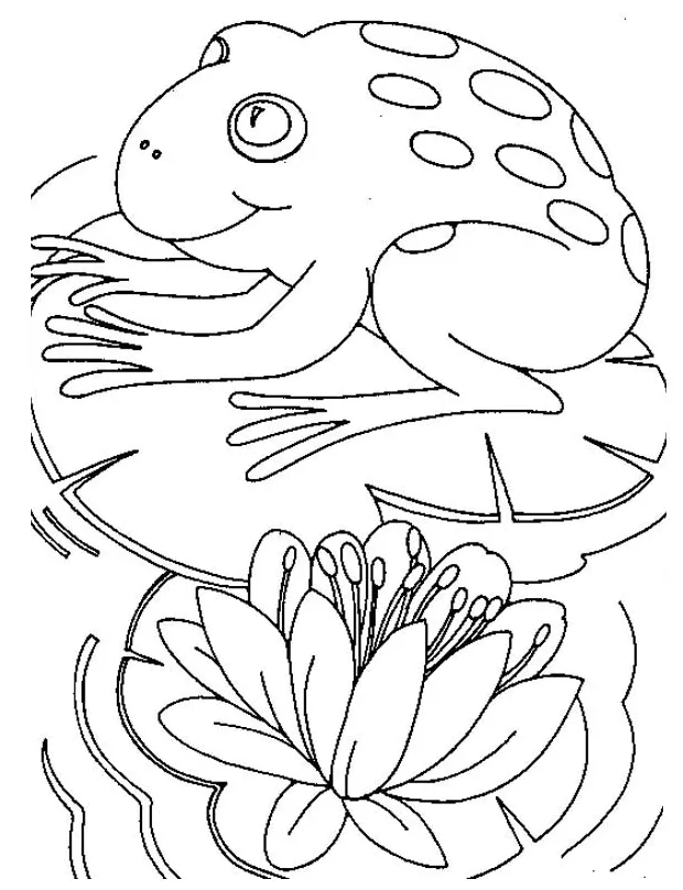 Big frog sitting comfortably on lily pad coloring page color luna