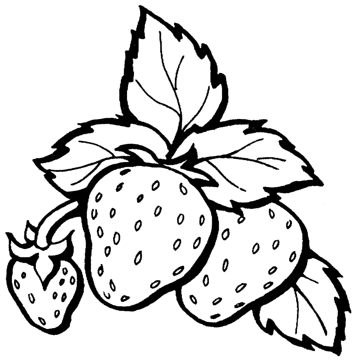 Fruit Coloring Pages for childrens printable for free