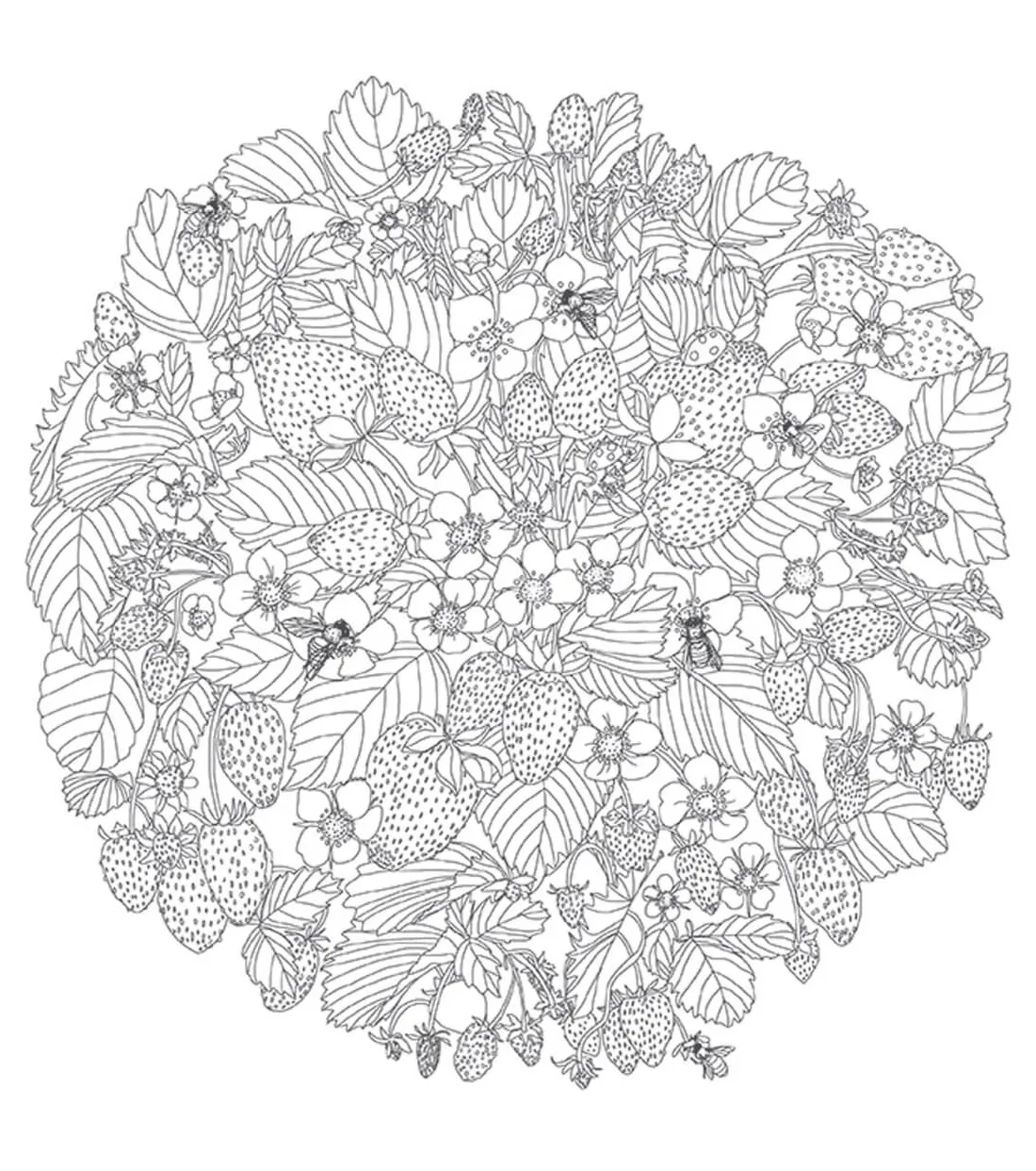 Fruit Coloring Pages – Printable Coloring Pages. FREE